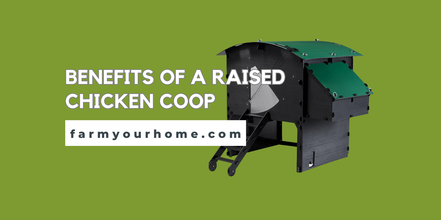 Blog Post Photo for Benefits of a Raised Chicken Coop