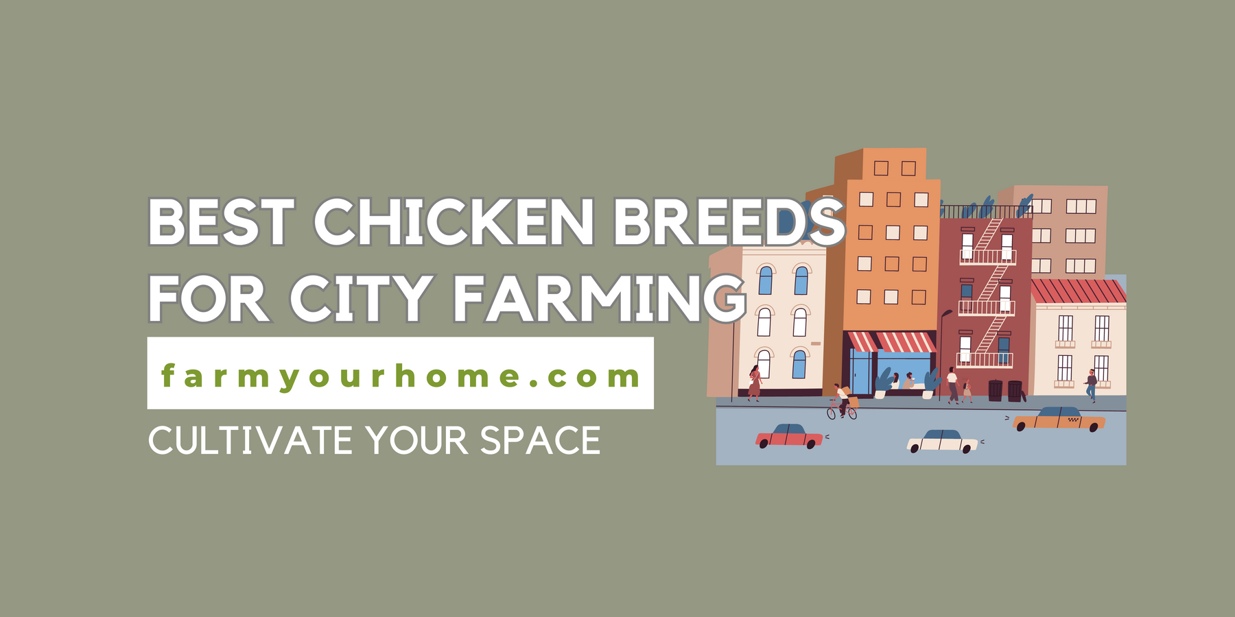 The Best Chicken Breeds for City Farming