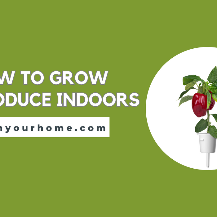 A Guide to Successful Indoor Gardening