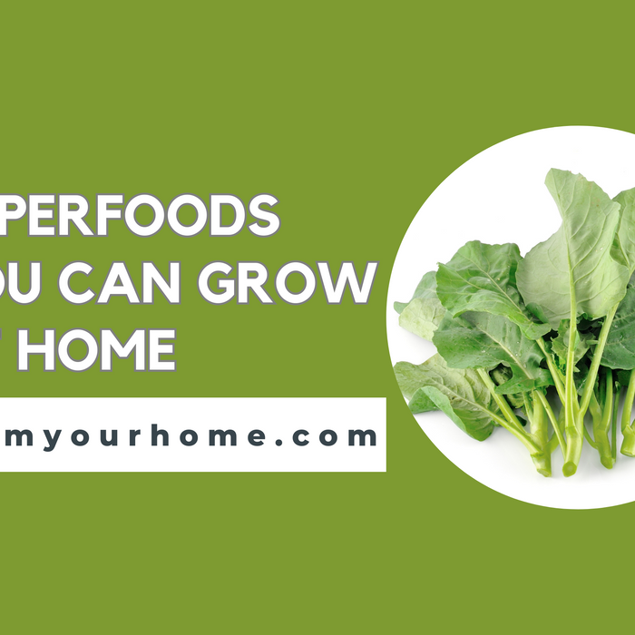 Superfoods You Can Grow At Home