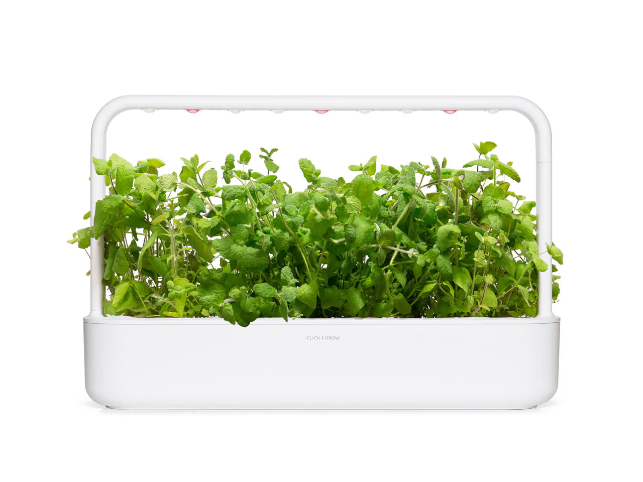 Click & Grow Smart Garden 9 with Apple Mint Growing