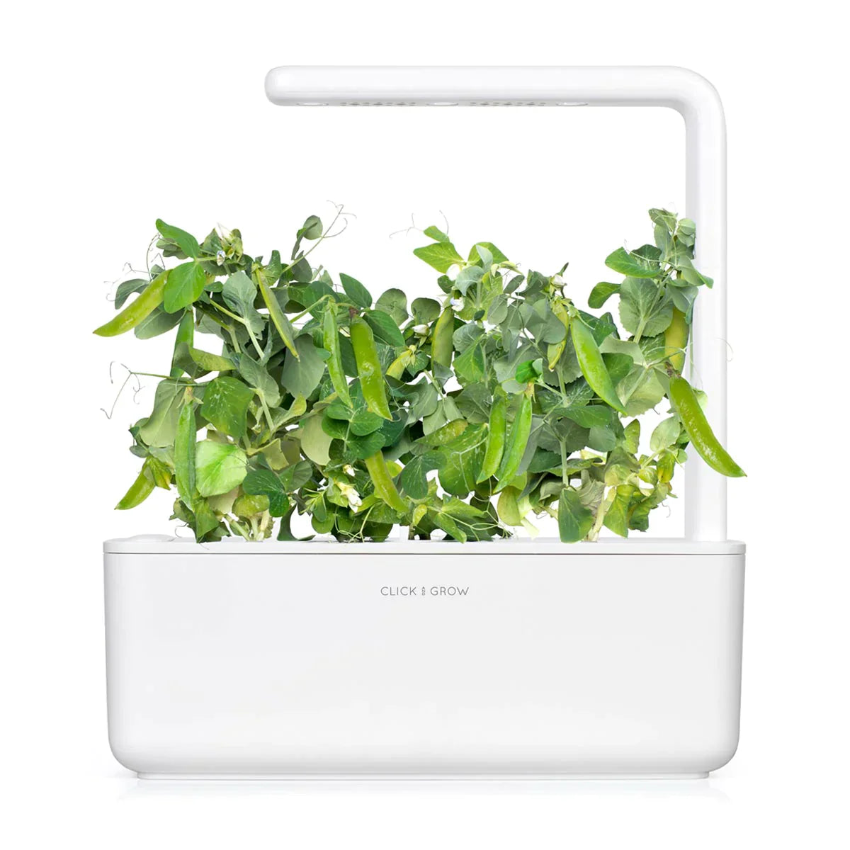 Click & Grow Smart Garden 3 with Dwarf Pea Plants