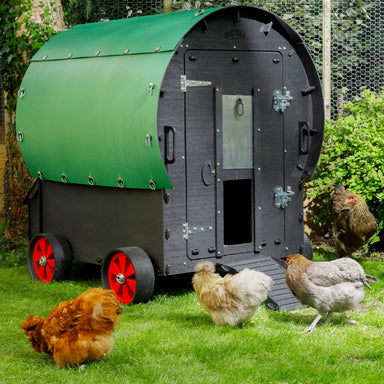 Photo of Front of Nestera Chicken Wagon in a yard with 4 Chickens