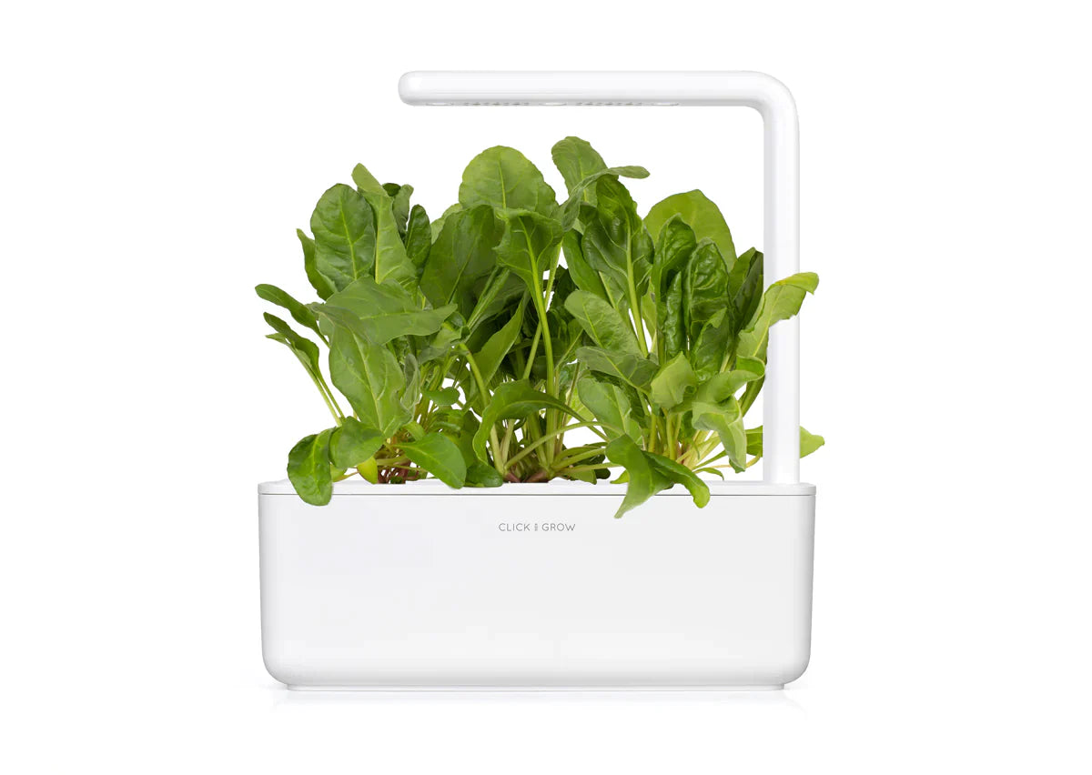 Click & Grow Smart Garden 3 with Green Chard