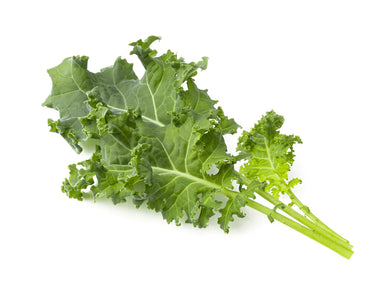 Green Kale Plant Pods 24 Pack