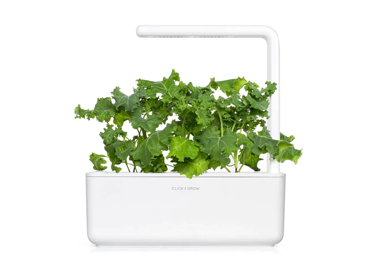 Click & Grow Smart Garden 3 with Green Kale