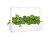 Click & Grow Smart Garden 9 with Green Kale