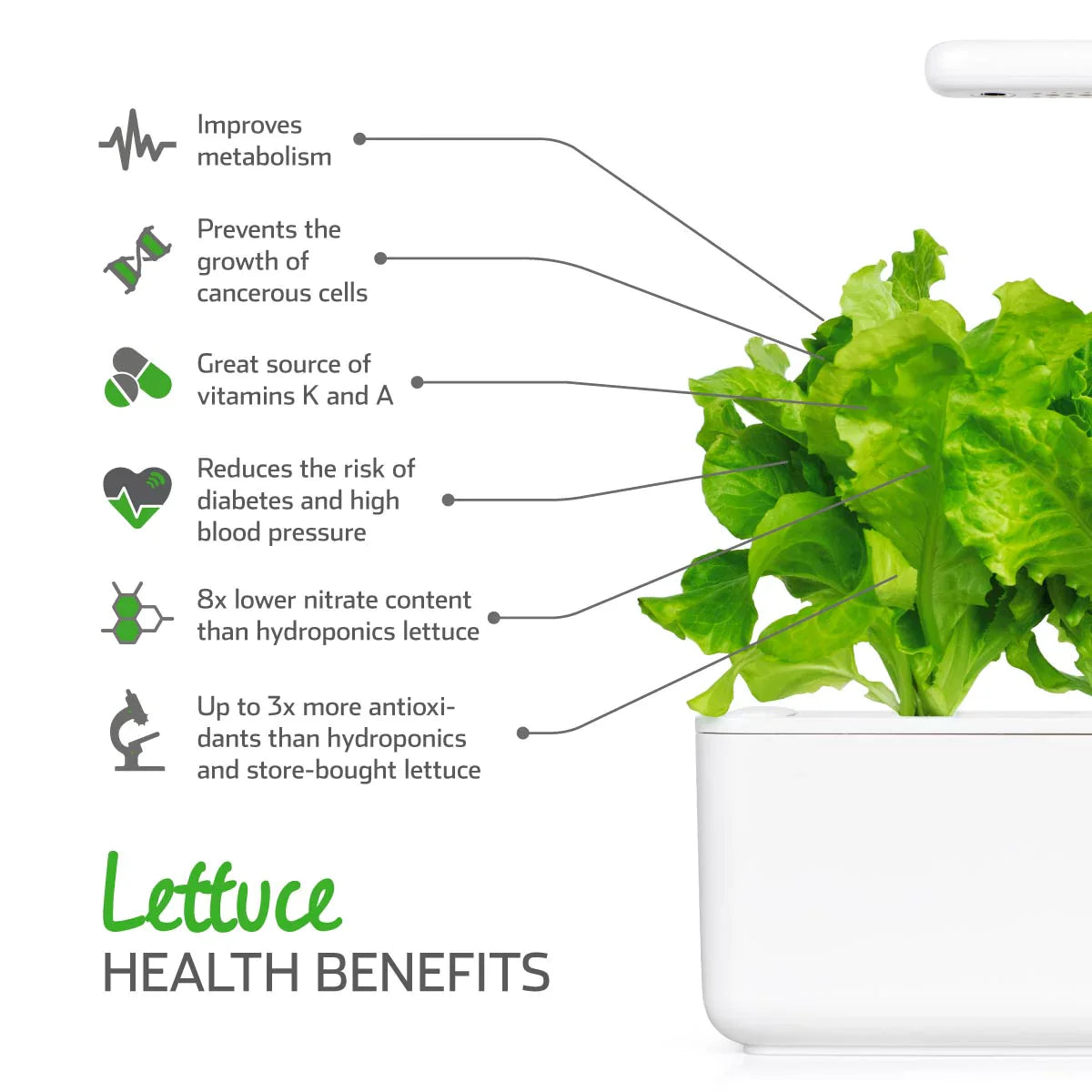 Click & Grow Green Lettuce Health Benefits