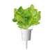 Click & Grow Green Lettuce Single Plant