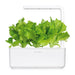 Click & Grow Smart Garden 3 with Green Lettuce