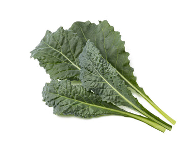 Click & Grow Italian Kale Plant