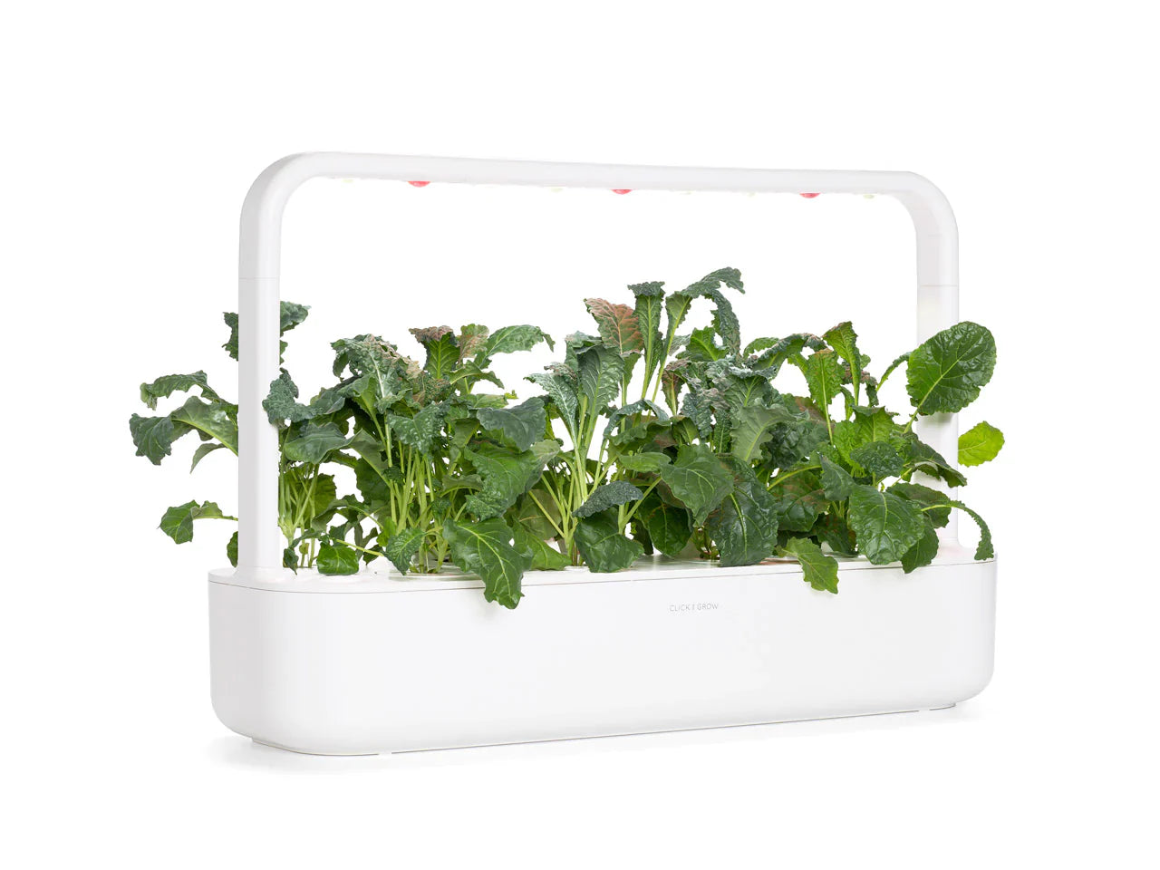 Click & Grow Smart Garden 9 with Italian Kale