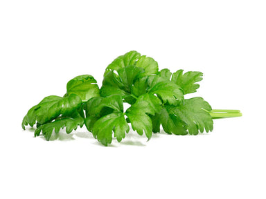 Click & Grow Leaf Celery Plant