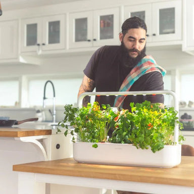 Man in kitchen leaning over a Smart Garden 9 choosing herbs