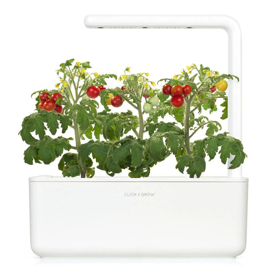 Mini Tomato Plant Pods 24 Pack