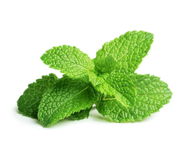 Click & Grow Peppermint Plant
