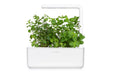 Click & Grow Smart Garden 3 with Peppermint