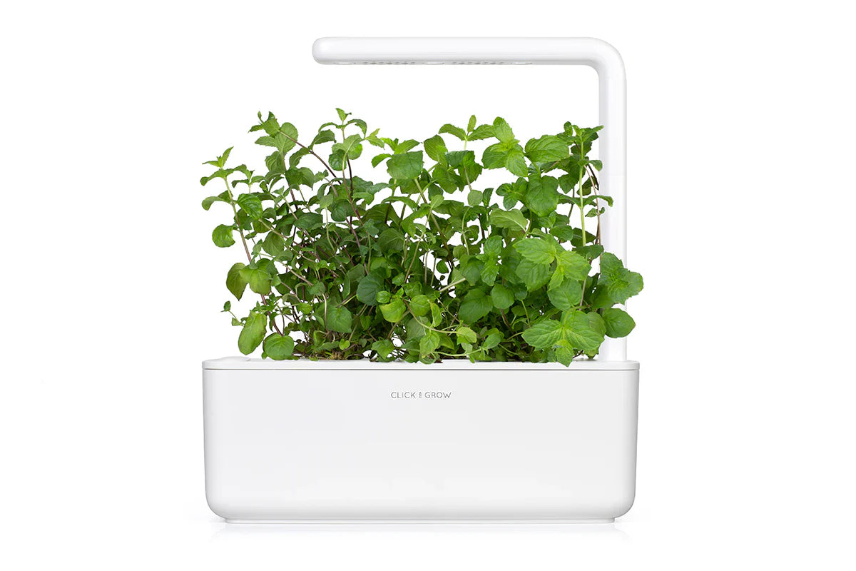 Click & Grow Smart Garden 3 with Peppermint
