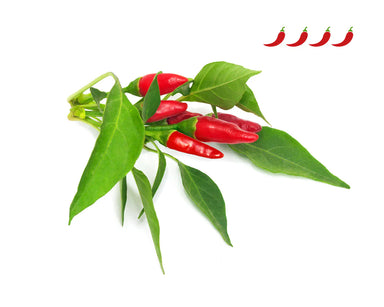 Click & Grow Piri Piri Chili Pepper Plant