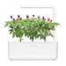 Click & Grow Smart Garden 9 with Purple Chili Peppers