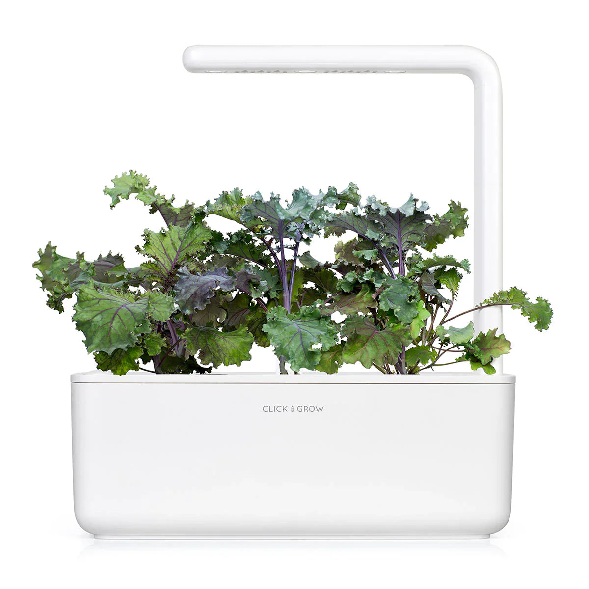Click & Grow Smart Garden 3 with Red Kale