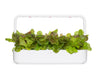 Click & Grow Smart Garden 9 with Red Lettuce