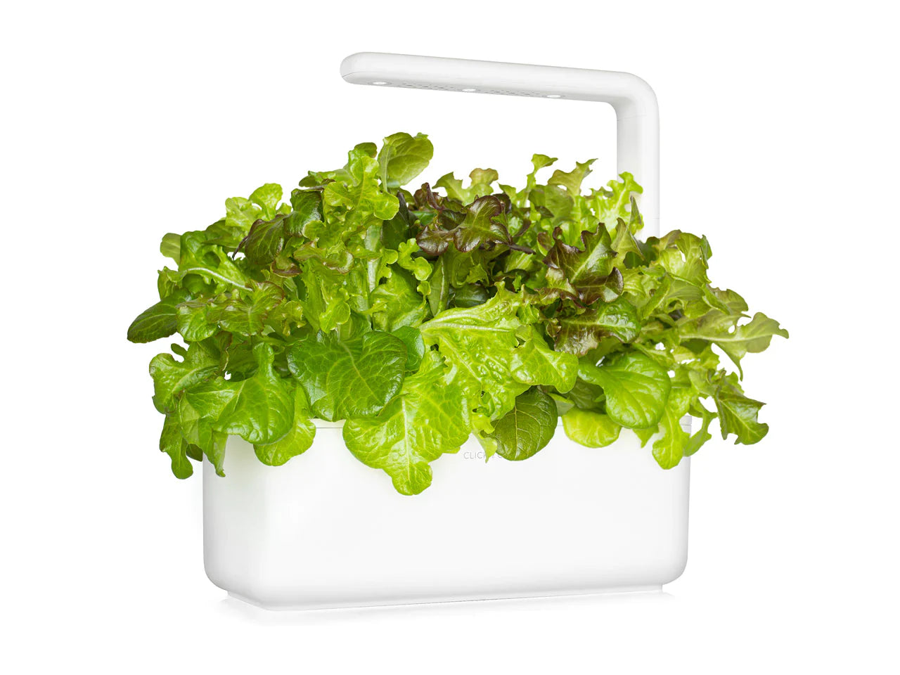 Click & Grow Smart Garden 3 with Red Oakleaf Lettuce
