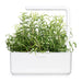 Click & Grow Smart Garden 3 with Rosemary