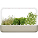Click and Grow Smart Garden 9 Italian Herb Kit in Beige