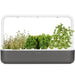 Click and Grow Smart Garden 9 Italian Herb Kit in Grey