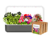 Click and Grow Smart Garden 9 Vibrant Flower Mix Kit in Grey
