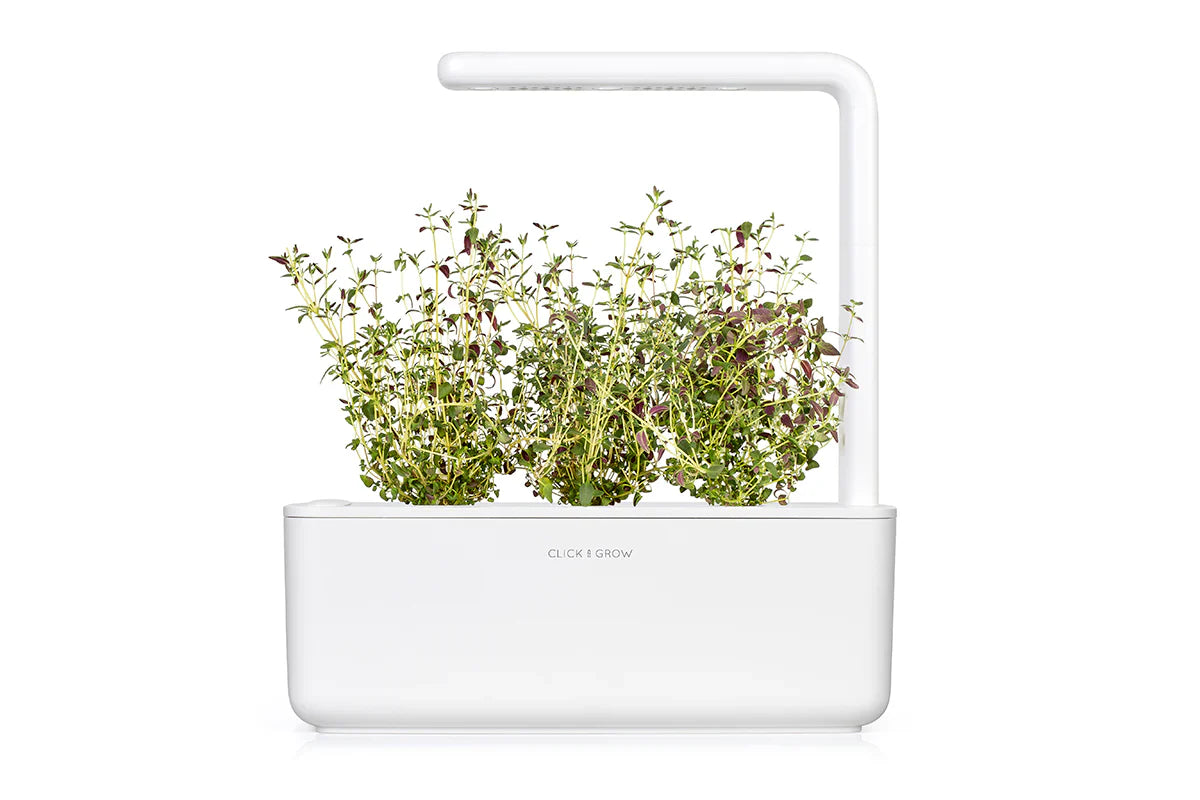 Click & Grow Smart Garden 3 with Thyme