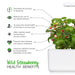 Click & Grow Wild Strawberry Health Benefits