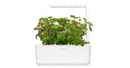 Click & Grow Smart Garden 3 with Wild Strawberries