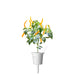 Click & Grow Yellow Chili Pepper Single Plant