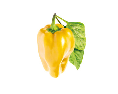 Click & Grow Yellow Sweet Pepper Plant