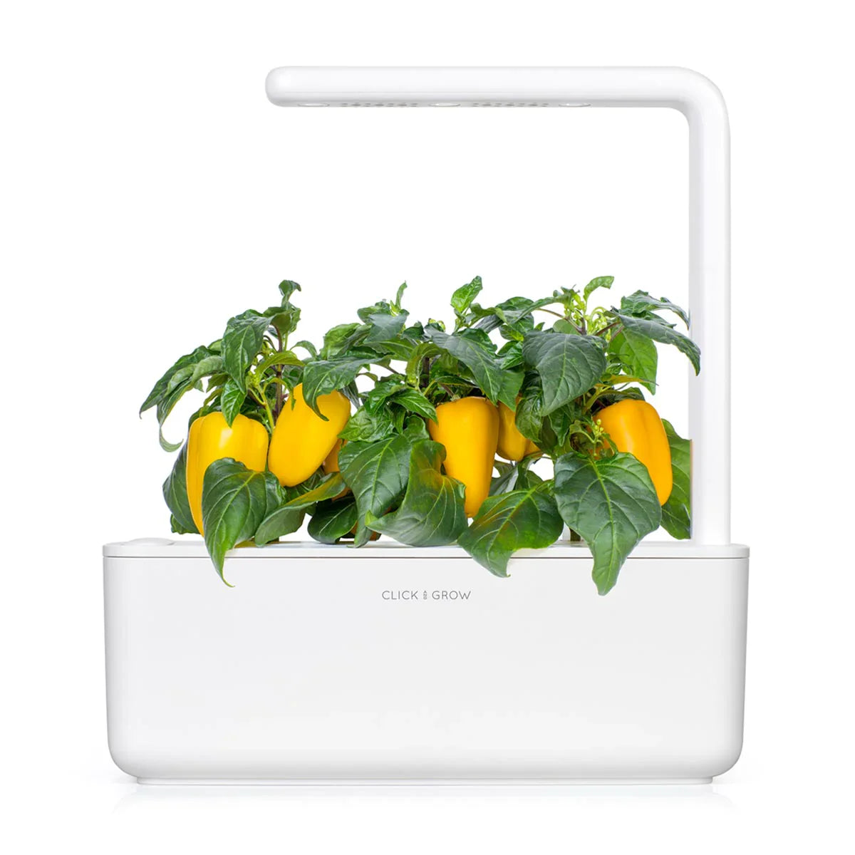 Click & Grow Smart Garden 3 with Yellow Sweet Peppers
