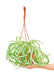 Medium Size Hanging Bonnie Spider Plant in a growers hanging basket with a white background with a hand holding the basket underneath