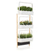 Click & Grow Smart Garden 27 with Shelf for Wall Hanging