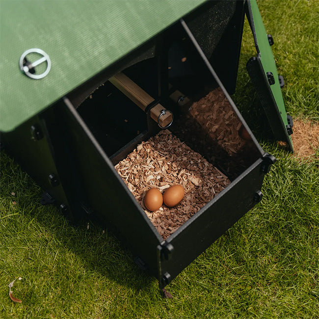 Nestera Small Raised Chicken Coop Egg Collection View
