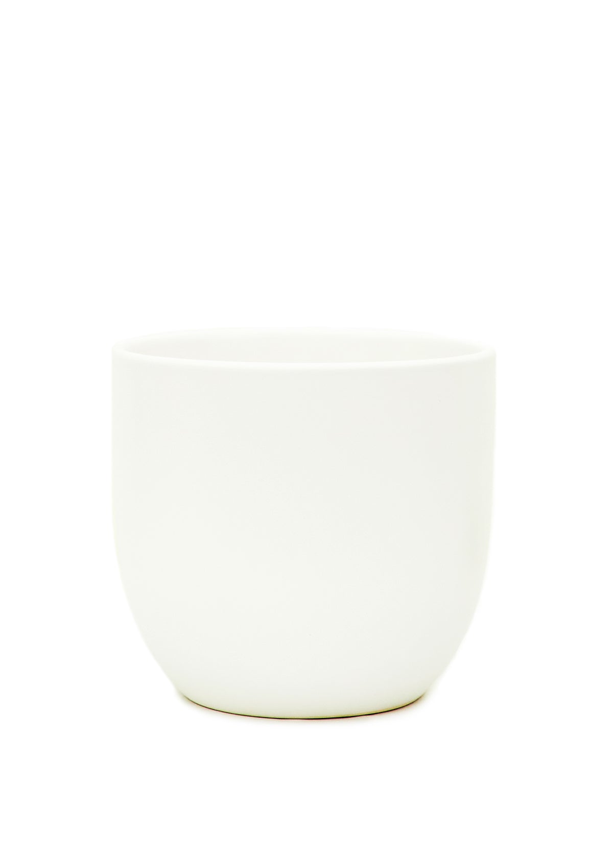 White 5" Wide Rounded Ceramic Planted with a white background