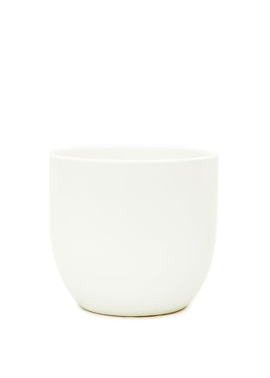 White 5" Wide Rounded Ceramic Planted with a white background