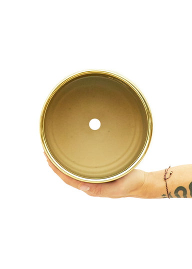 7" Wide Metallic Gold Cylindrical Ceramic Planter with a white background with a hand holding it to show the top view