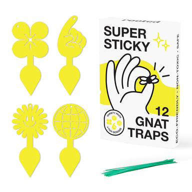 Photo of both packaging and product for Super Sticky Gnat Traps with a white background