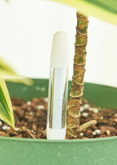 Close up photo of Moisture Meter in a pot with a plant