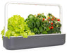 Click & Grow Grey Smart Garden 9 with Variety of Plants