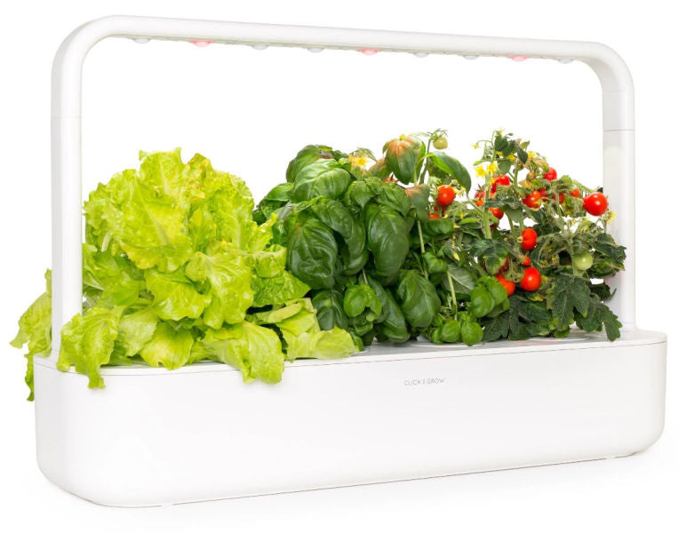 Click & Grow White Smart Garden 9 growing greens and herbs