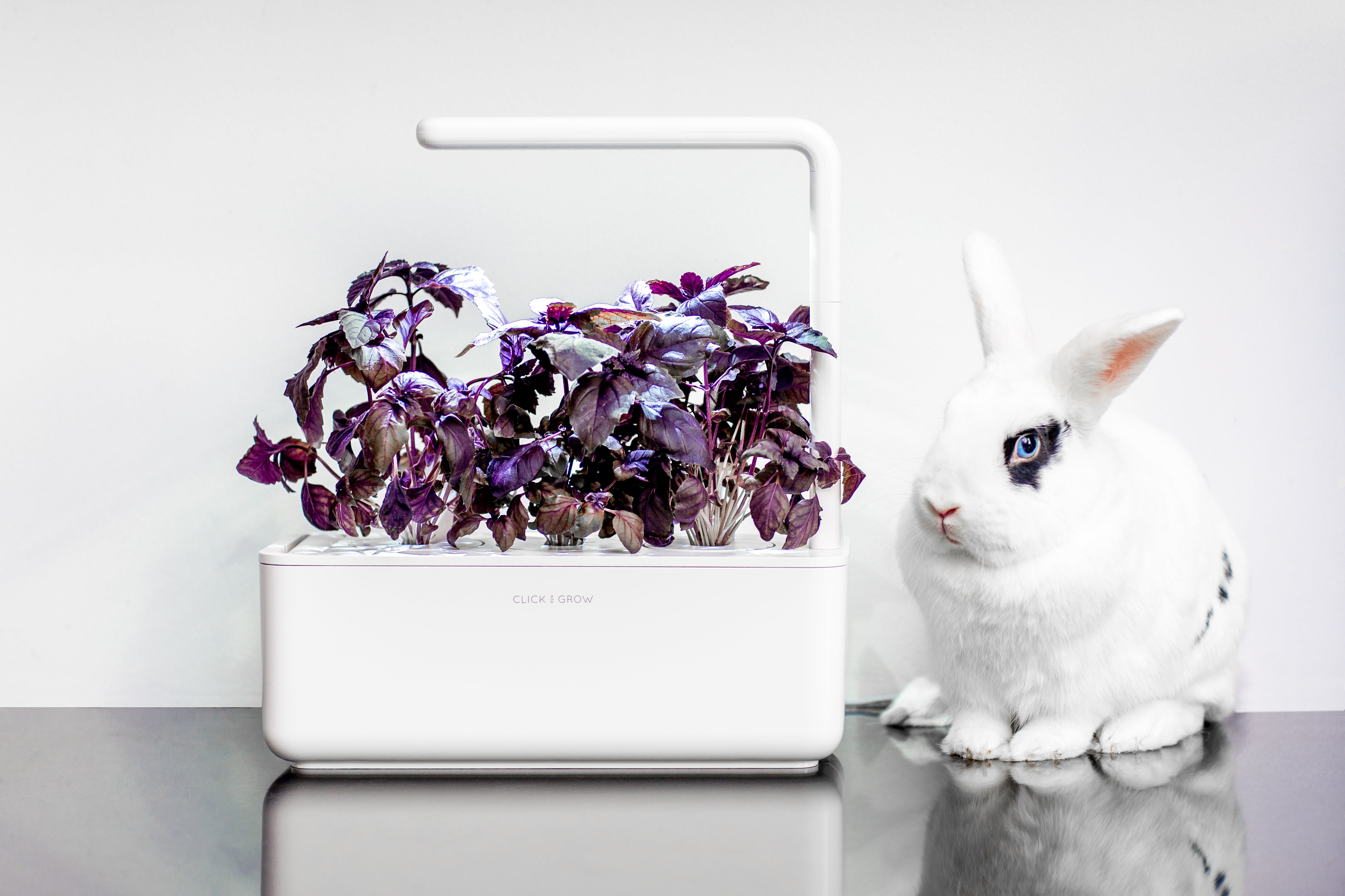 Click & Grow Smart Garden 3 with Bunny Rabbit